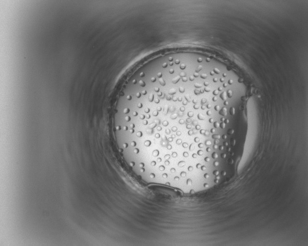 X0000080131356200612302025