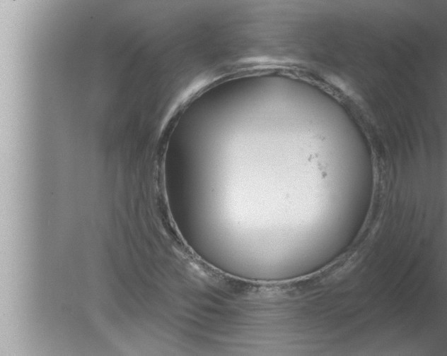 X0000080131357200612302025