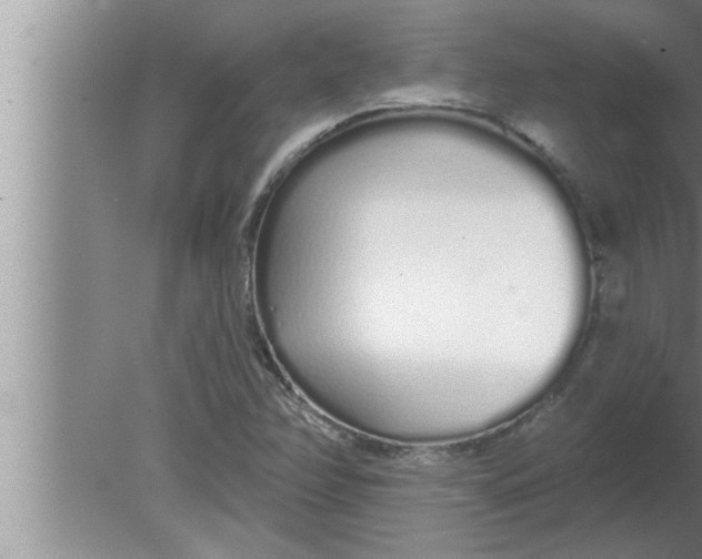 X0000080131358200612302025