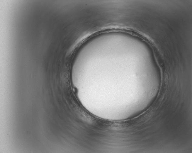 X0000080131359200612302025