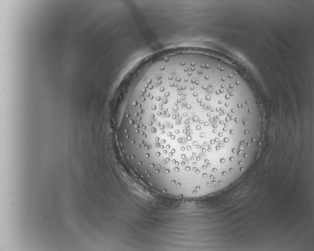 X0000080131360200612302025