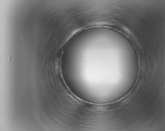 X0000080131361200612302025