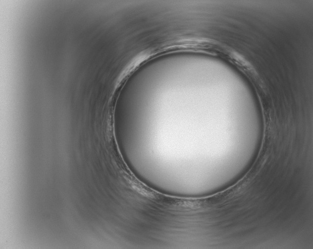 X0000080131362200612302025