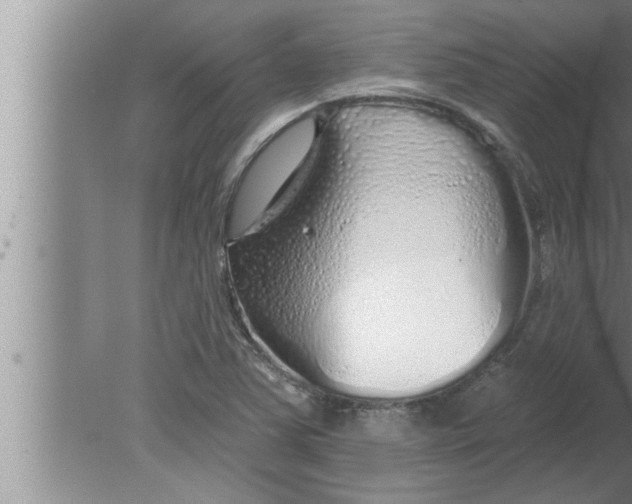 X0000080131363200612302025