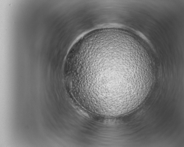 X0000080131364200612302025