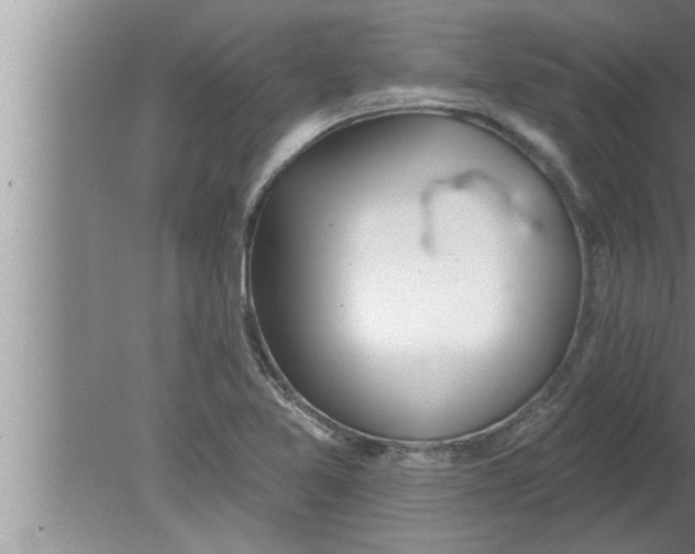 X0000080131365200612302025