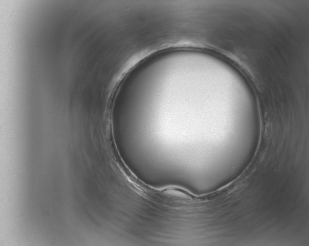 X0000080131367200612302025