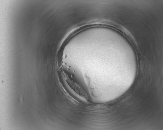 X0000080131368200612302025