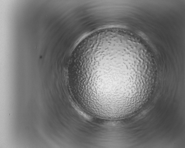 X0000080131369200612302025