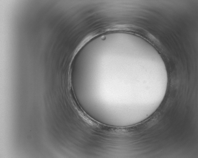 X0000080131370200612302025