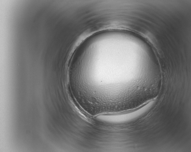 X0000080131371200612302025