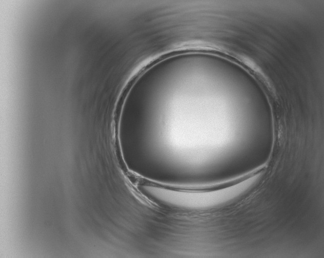 X0000080131372200612302025