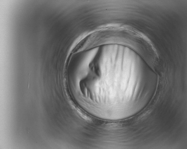 X0000080131373200612302025