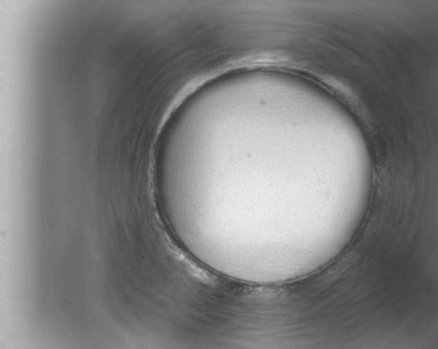 X0000080131374200612302025