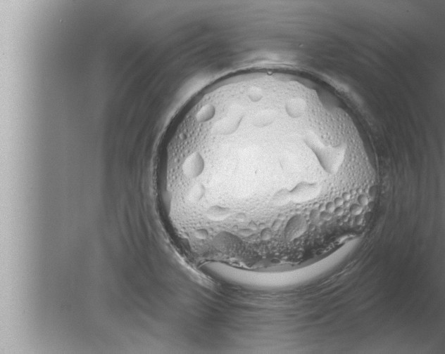 X0000080131375200612302025