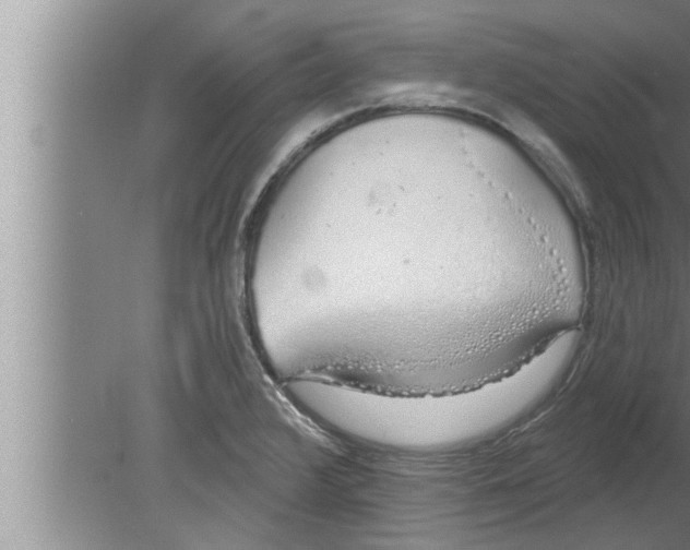 X0000080131376200612302025