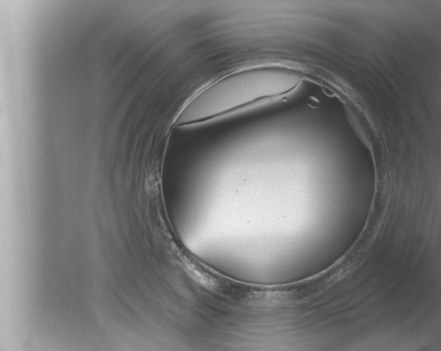 X0000080131377200612302025