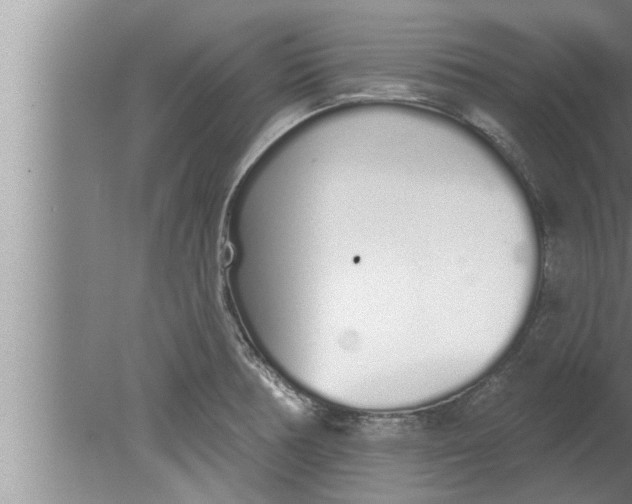 X0000080131378200612302025