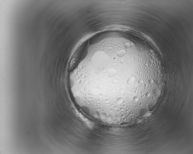 X0000080131379200612302025