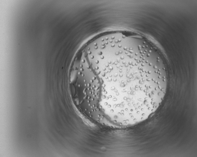 X0000080131380200612302025