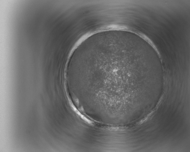 X0000080131381200612302025