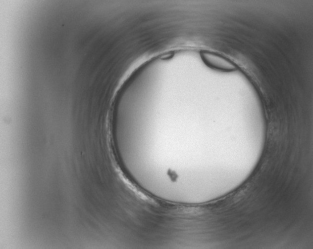 X0000080131382200612302025