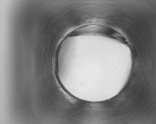 X0000080131383200612302025