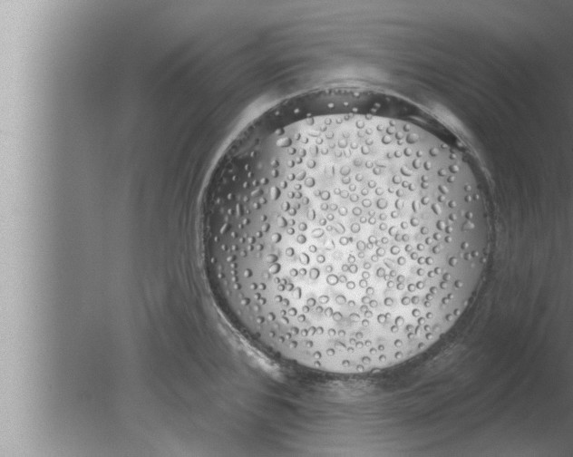 X0000080131384200612302025