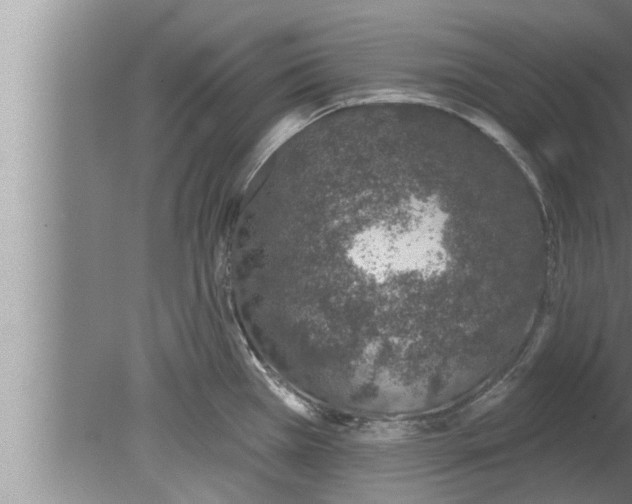 X0000080131385200612302025