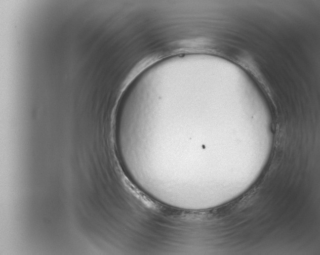 X0000080131386200612302025