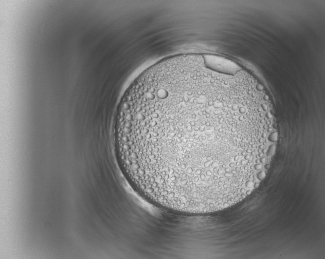 X0000080131387200612302025