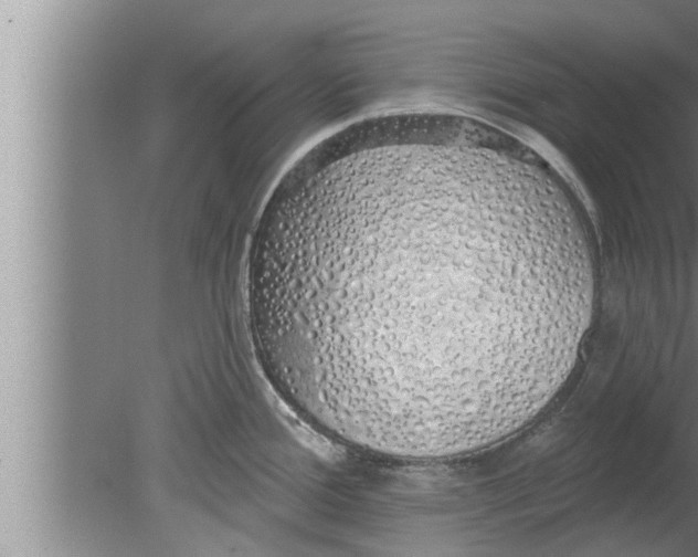 X0000080131388200612302025