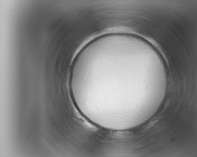 X0000080131390200612302025