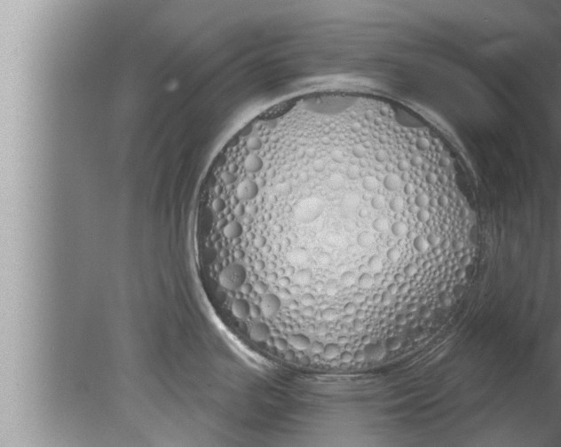 X0000080131391200612302025