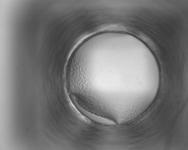 X0000080131392200612302025