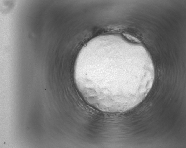 X0000080131393200612302024