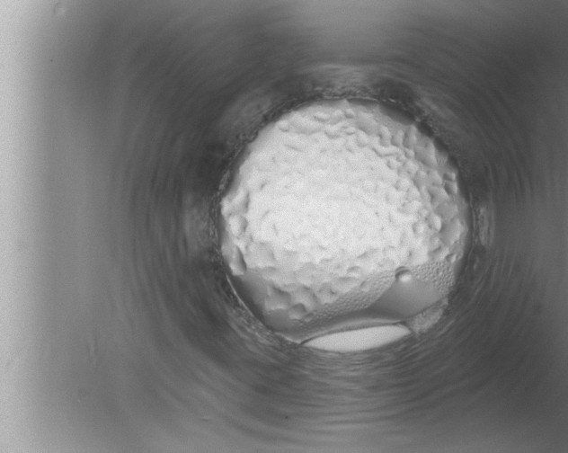 X0000080131395200612302024