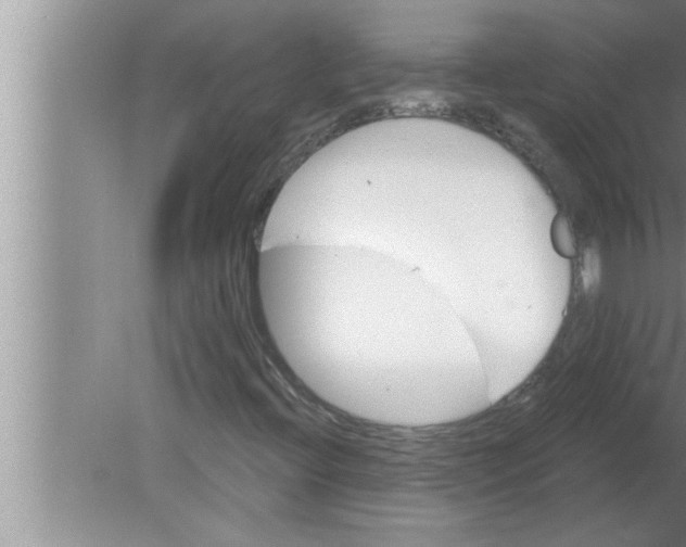 X0000080131396200612302024