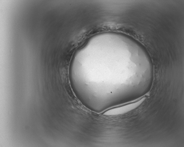 X0000080131397200612302024