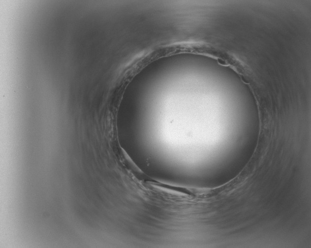 X0000080131398200612302024