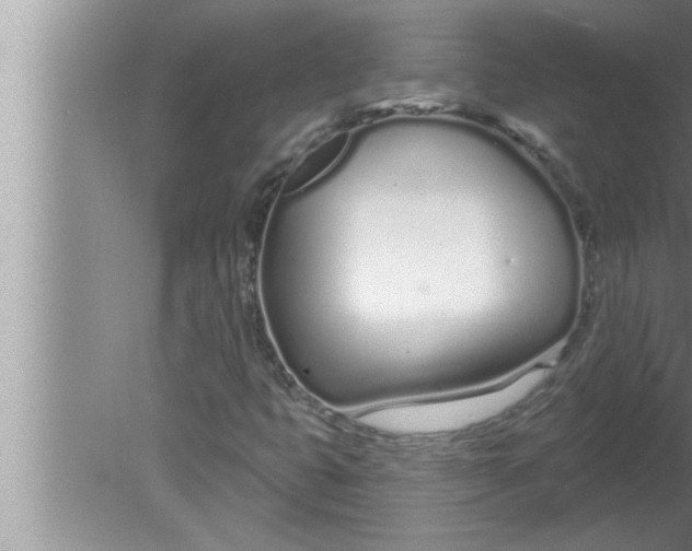 X0000080131399200612302024