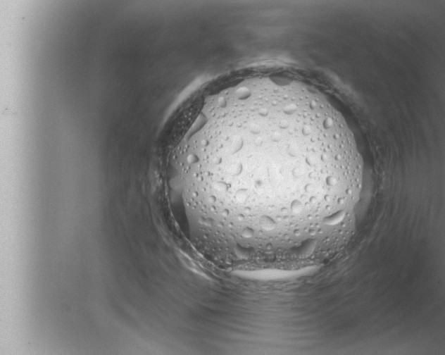 X0000080131400200612302024