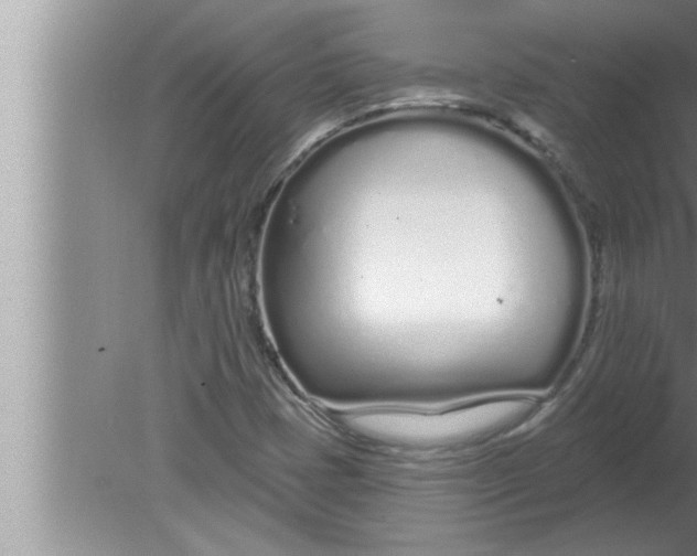 X0000080131401200612302024