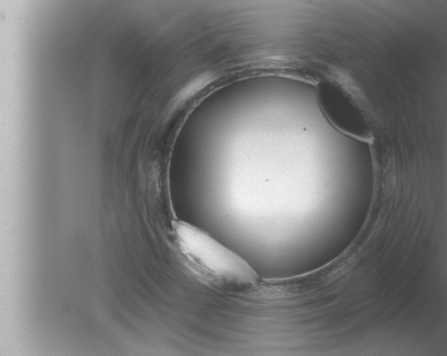 X0000080131402200612302024