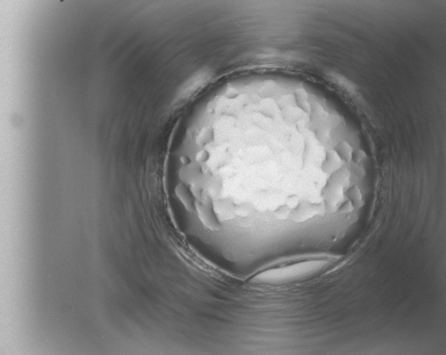 X0000080131403200612302024