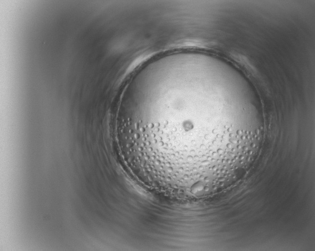 X0000080131404200612302024