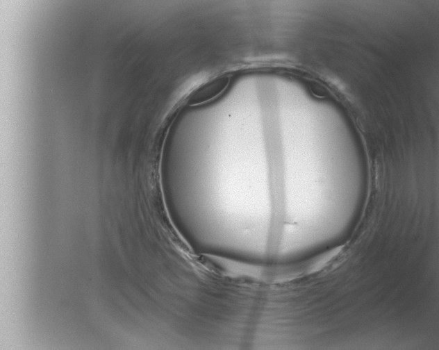 X0000080131405200612302024