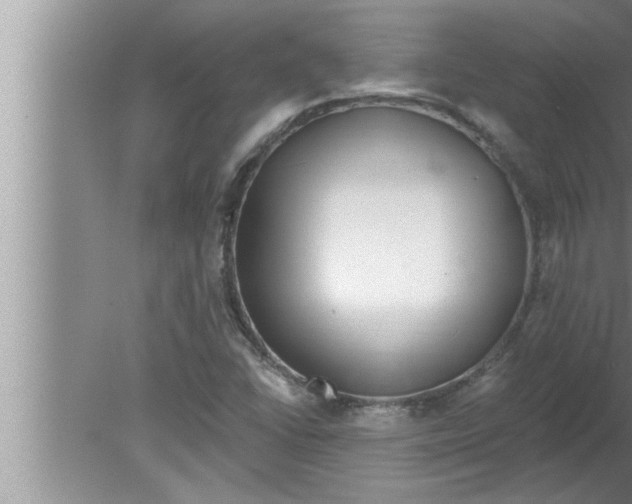 X0000080131406200612302024