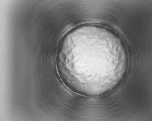 X0000080131409200612302024