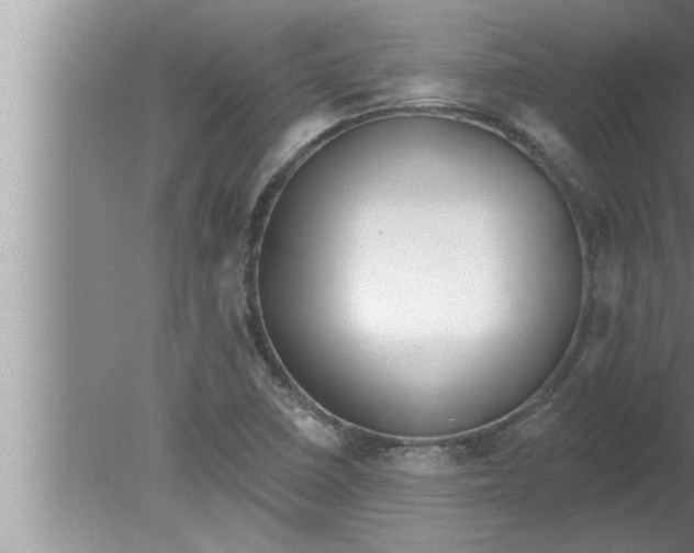 X0000080131410200612302024